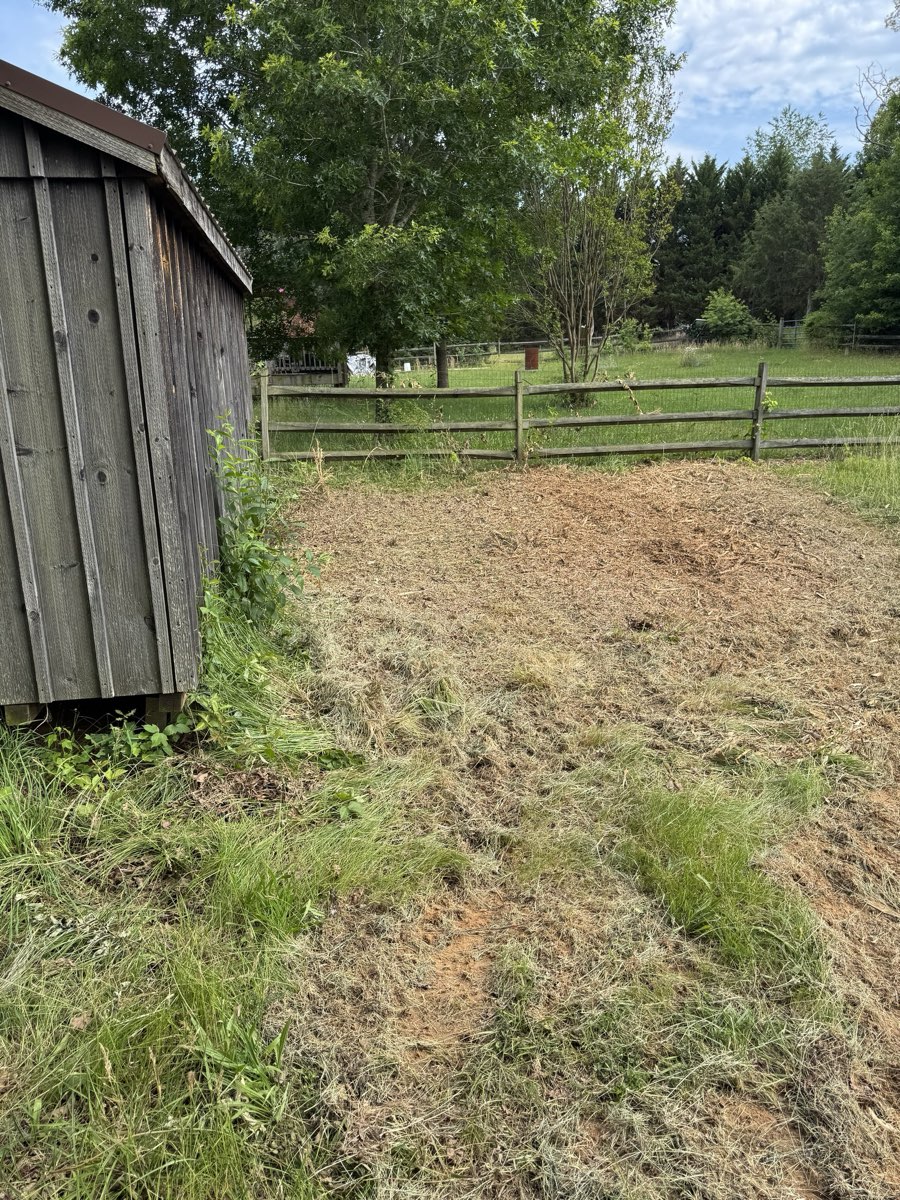 After forestry mulching: Brush wall removed, paddock opened up