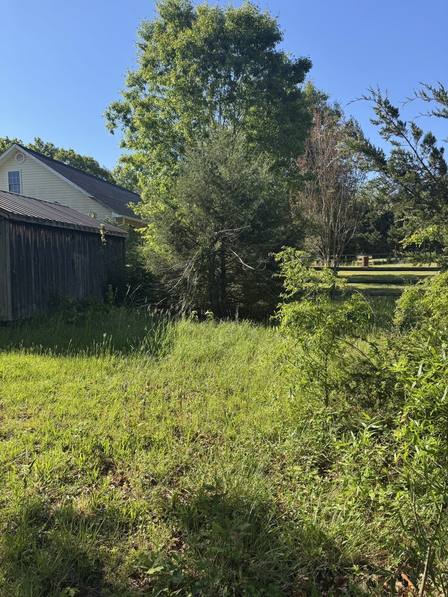 Before forestry mulching: Brush wall removed, paddock opened up