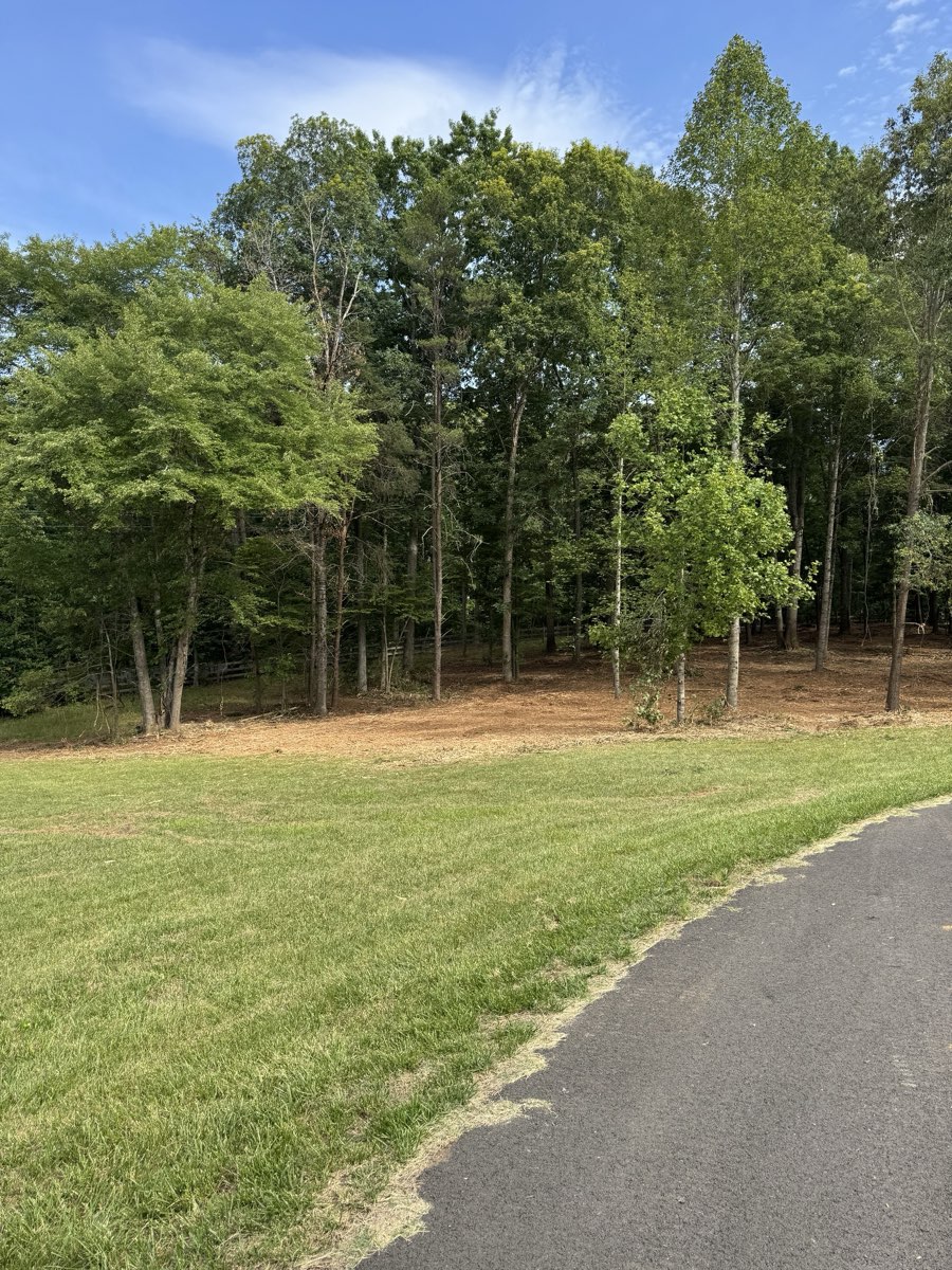 After forestry mulching: Treeline reclaimed, undergrowth cleared